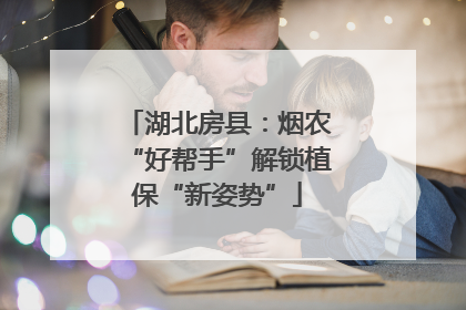 湖北房县：烟农“好帮手”解锁植保“新姿势”