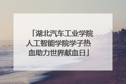 湖北汽车工业学院人工智能学院学子热血助力世界献血日