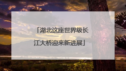 湖北这座世界级长江大桥迎来新进展