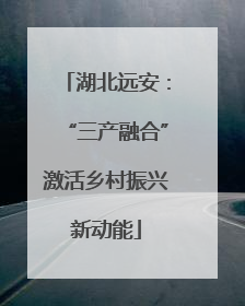 湖北远安：“三产融合”激活乡村振兴新动能