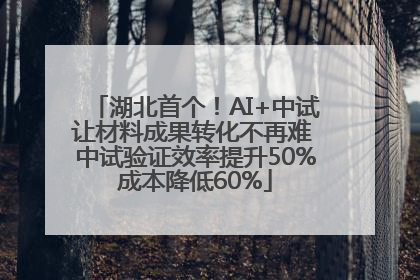 湖北首个！AI+中试让材料成果转化不再难 中试验证效率提升50%成本降低60%