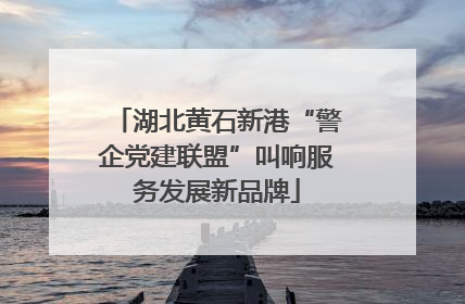 湖北黄石新港“警企党建联盟”叫响服务发展新品牌