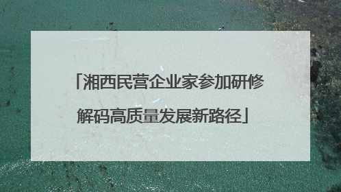 湘西民营企业家参加研修 解码高质量发展新路径