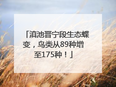 滇池晋宁段生态蝶变，鸟类从89种增至175种！