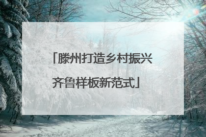 滕州打造乡村振兴齐鲁样板新范式