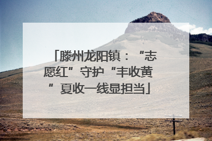 滕州龙阳镇：“志愿红”守护“丰收黄”夏收一线显担当