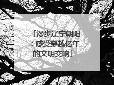 漫步辽宁朝阳：感受穿越亿年的文明交响