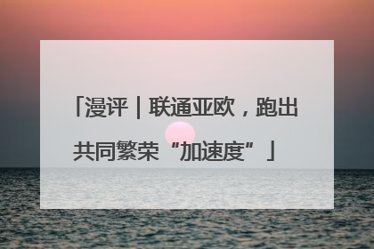 漫评｜联通亚欧，跑出共同繁荣“加速度”