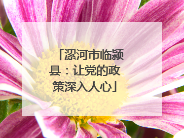 漯河市临颍县：让党的政策深入人心