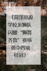 菏泽思源学校龙狮队闪耀“狮舞齐鲁”赛场 勇夺四项桂冠