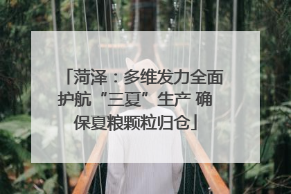 菏泽：多维发力全面护航“三夏”生产 确保夏粮颗粒归仓