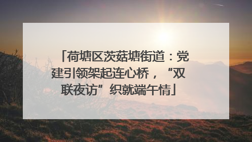 荷塘区茨菇塘街道：党建引领架起连心桥，“双联夜访”织就端午情