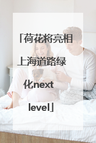 荷花将亮相 上海道路绿化next level