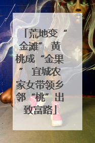 荒地变“金滩” 黄桃成“金果” 宜城农家女带领乡邻“桃”出致富路
