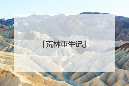 荒林重生记