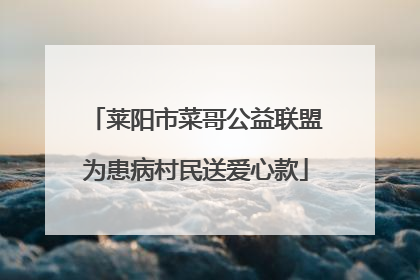 莱阳市菜哥公益联盟为患病村民送爱心款