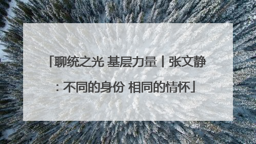 聊统之光 基层力量丨张文静：不同的身份 相同的情怀