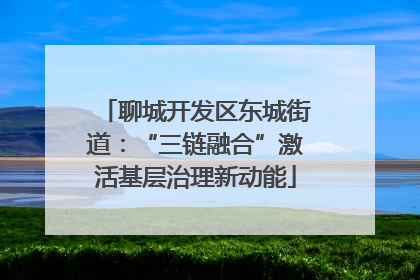 聊城开发区东城街道：“三链融合”激活基层治理新动能