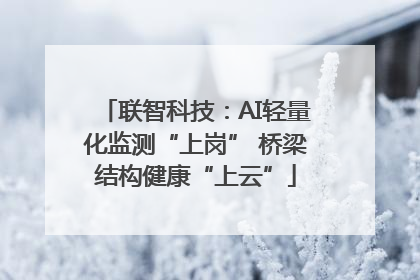 联智科技：AI轻量化监测“上岗” 桥梁结构健康“上云”