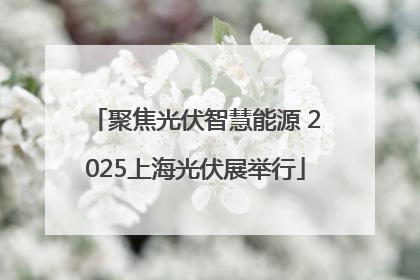 聚焦光伏智慧能源 2025上海光伏展举行