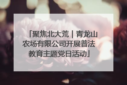 聚焦北大荒｜青龙山农场有限公司开展普法教育主题党日活动
