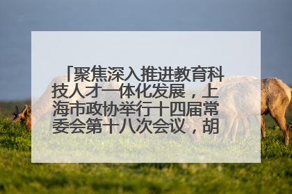 聚焦深入推进教育科技人才一体化发展，上海市政协举行十四届常委会第十八次会议，胡文容出席并讲话