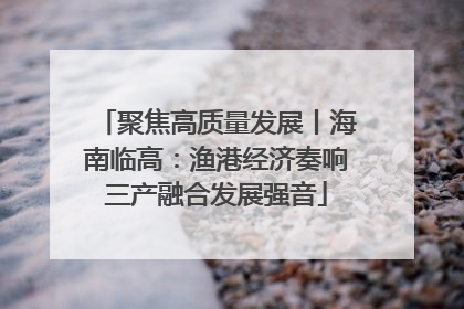 聚焦高质量发展丨海南临高：渔港经济奏响三产融合发展强音