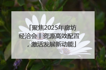 聚焦2025年廊坊经洽会丨资源高效配置，激活发展新动能