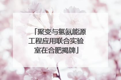 聚变与氢氨能源工程应用联合实验室在合肥揭牌