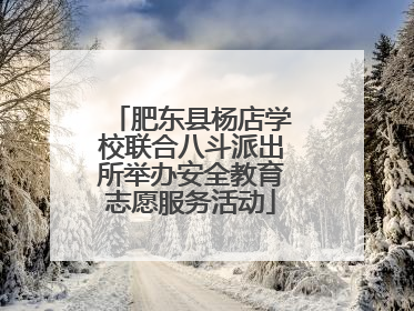 肥东县杨店学校联合八斗派出所举办安全教育志愿服务活动
