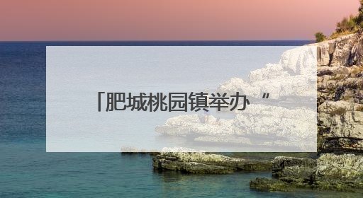 肥城桃园镇举办“守住钱袋子护好幸福家”宣教活动