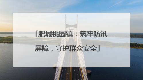 肥城桃园镇：筑牢防汛屏障，守护群众安全