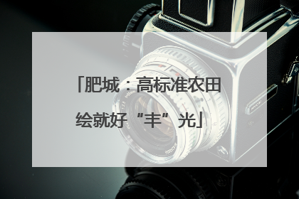 肥城：高标准农田绘就好“丰”光