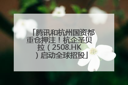 腾讯和杭州国资都重仓押注！杭企圣贝拉（2508.HK）启动全球招股