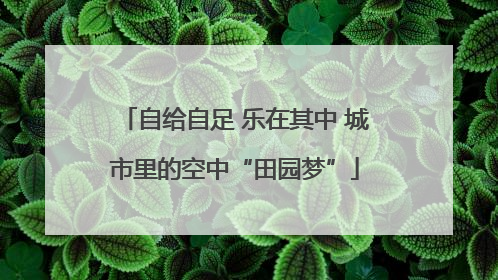 自给自足 乐在其中 城市里的空中“田园梦”