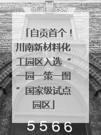 自贡首个！川南新材料化工园区入选“一园一策一图”国家级试点园区