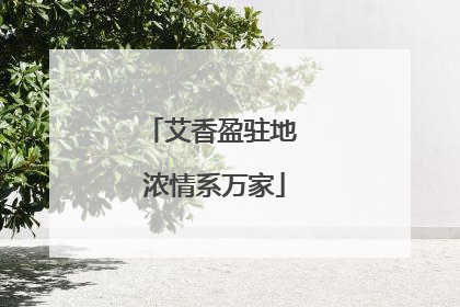 艾香盈驻地 浓情系万家
