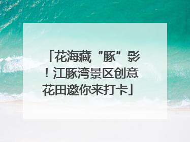 花海藏“豚”影！江豚湾景区创意花田邀你来打卡