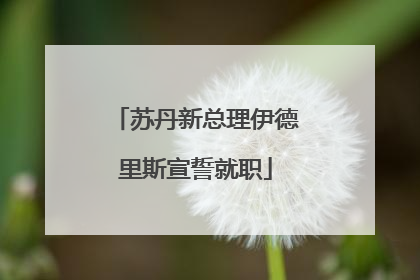 苏丹新总理伊德里斯宣誓就职