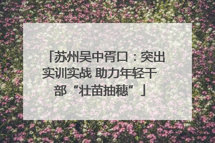 苏州吴中胥口：突出实训实战 助力年轻干部“壮苗抽穗”