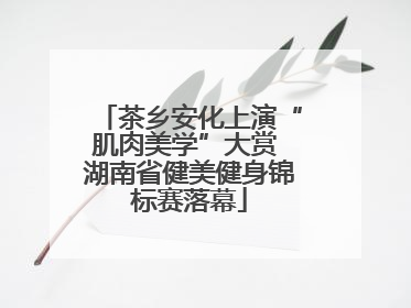 茶乡安化上演“肌肉美学”大赏 湖南省健美健身锦标赛落幕