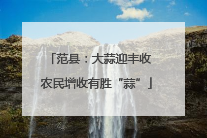 范县：大蒜迎丰收 农民增收有胜“蒜”