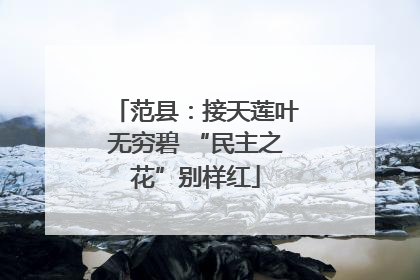 范县：接天莲叶无穷碧 “民主之花”别样红