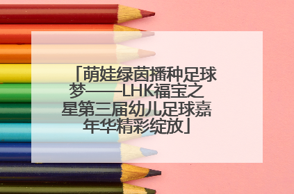 萌娃绿茵播种足球梦——LHK福宝之星第三届幼儿足球嘉年华精彩绽放
