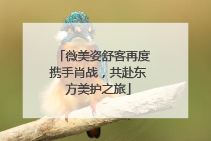 薇美姿舒客再度携手肖战，共赴东方美护之旅
