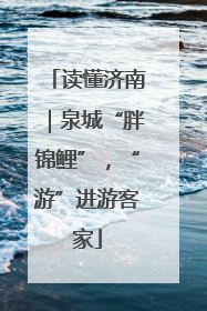 读懂济南｜泉城“胖锦鲤”，“游”进游客家