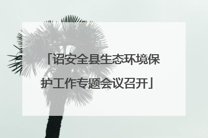 诏安全县生态环境保护工作专题会议召开