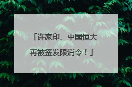许家印、中国恒大再被签发限消令！