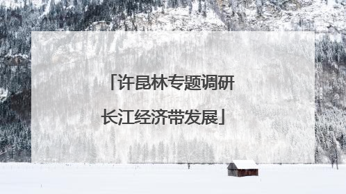许昆林专题调研长江经济带发展