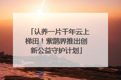 认养一片千年云上梯田！紫鹊界推出创新公益守护计划